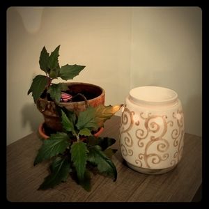 SCENTSY "Barista" Wax Warmer